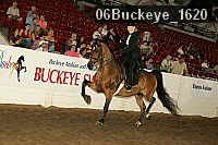 06buckeye_1620 thumbnail