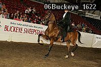 06buckeye_1622 thumbnail