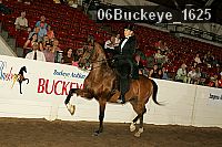 06buckeye_1625 thumbnail