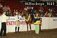 06buckeye_1641 thumbnail