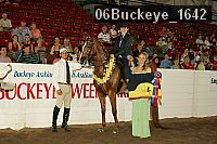 06buckeye_1642 thumbnail