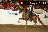 06buckeye_1643 thumbnail