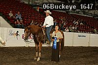 06buckeye_1647 thumbnail