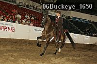 06buckeye_1650 thumbnail