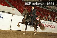 06buckeye_1651 thumbnail