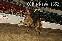 06buckeye_1652 thumbnail