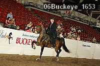 06buckeye_1653 thumbnail