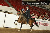 06buckeye_1657 thumbnail