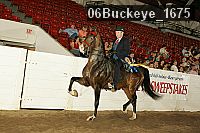 06buckeye_1675 thumbnail