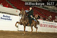 06buckeye_1677 thumbnail