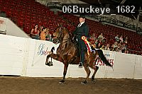 06buckeye_1682 thumbnail