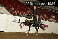 06buckeye_1685 thumbnail