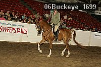 06buckeye_1699 thumbnail