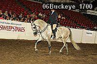 06buckeye_1700 thumbnail