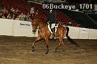 06buckeye_1701 thumbnail