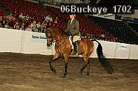 06buckeye_1702 thumbnail