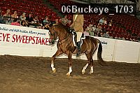 06buckeye_1703 thumbnail