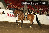 06buckeye_1704 thumbnail