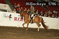 06buckeye_1706 thumbnail