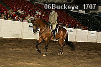 06buckeye_1707 thumbnail