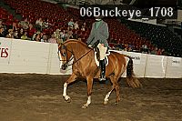 06buckeye_1708 thumbnail