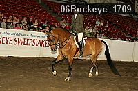 06buckeye_1709 thumbnail