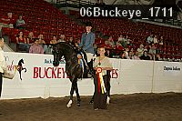 06buckeye_1711 thumbnail