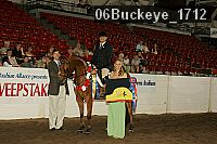 06buckeye_1712 thumbnail