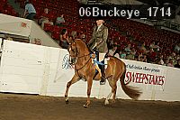 06buckeye_1714 thumbnail