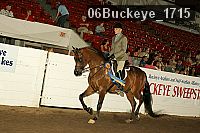 06buckeye_1715 thumbnail