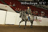 06buckeye_1717 thumbnail