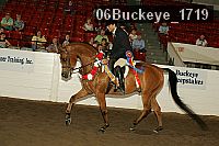 06buckeye_1719 thumbnail