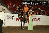 06buckeye_1721 thumbnail