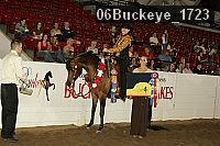 06buckeye_1723 thumbnail