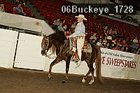 06buckeye_1728 thumbnail