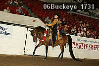 06buckeye_1731 thumbnail