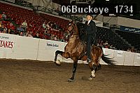 06buckeye_1734 thumbnail