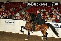 06buckeye_1738 thumbnail