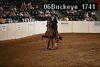 06buckeye_1741 thumbnail