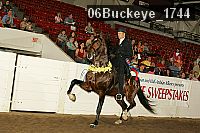 06buckeye_1744 thumbnail