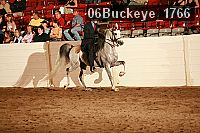 06buckeye_1766 thumbnail