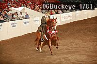 06buckeye_1781 thumbnail