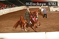 06buckeye_1782 thumbnail