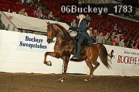 06buckeye_1783 thumbnail