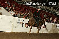 06buckeye_1784 thumbnail