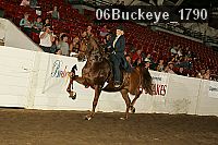 06buckeye_1790 thumbnail