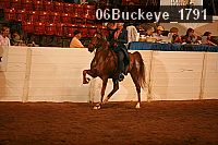 06buckeye_1791 thumbnail