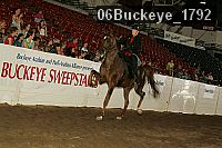 06buckeye_1792 thumbnail