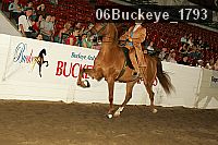 06buckeye_1793 thumbnail