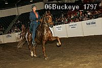 06buckeye_1797 thumbnail